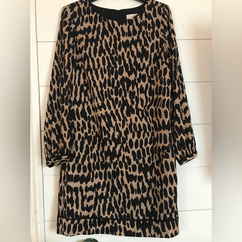NWT Loft shift dress